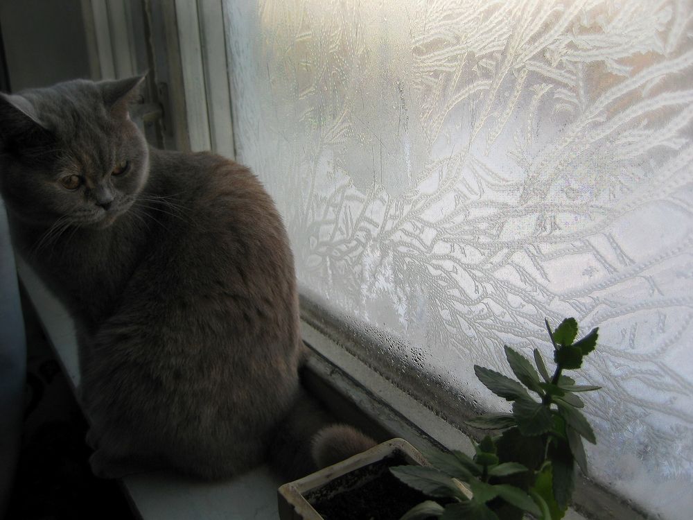 Photograph by Елена Третьякова