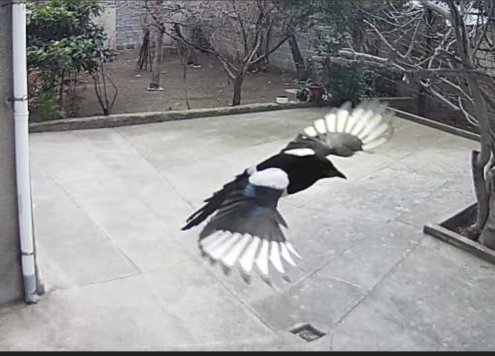 Фотография автора Грегорий Тер Асатуров