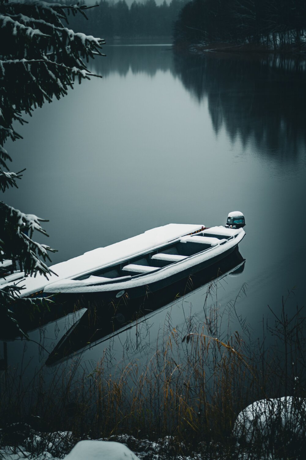 Photo #13004566