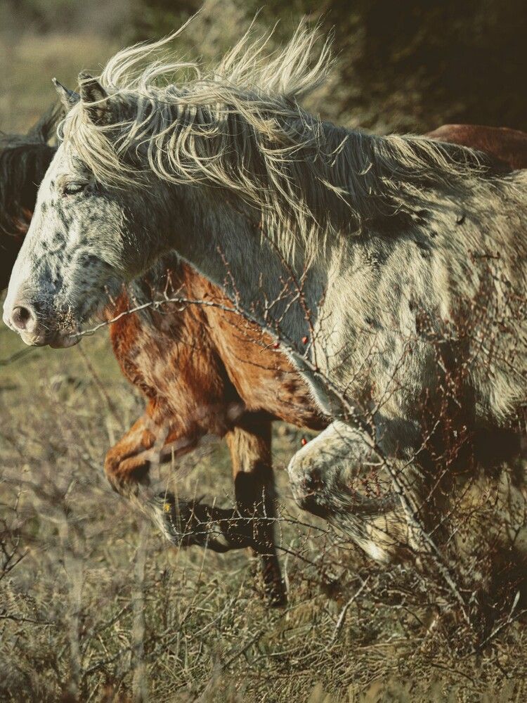 Photograph by Giuseppe Catalano