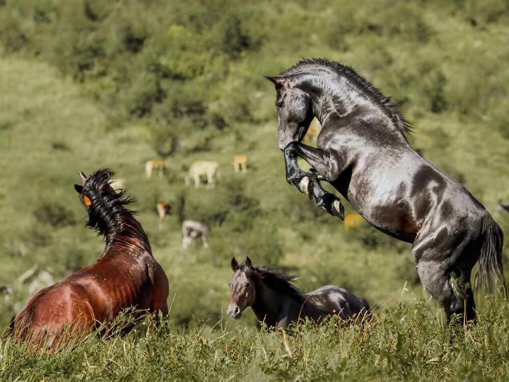 Photograph by Giuseppe Catalano