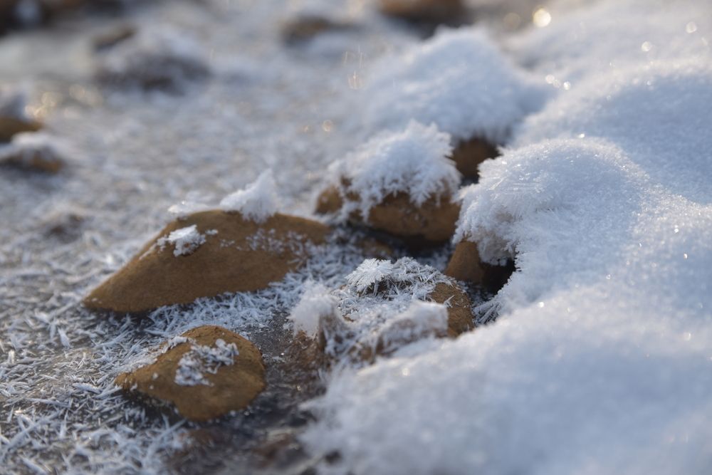 Photograph by Наталья Сорокина