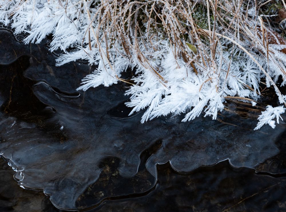 Photograph by Хазан Сергей