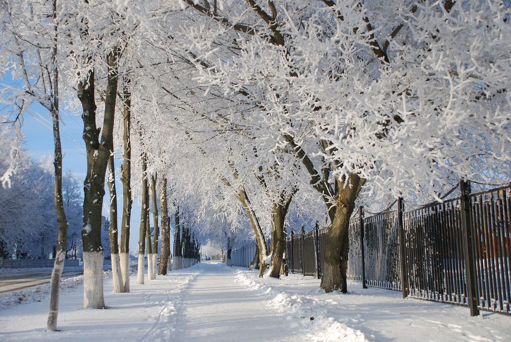 Photograph by Андрей Чуйков