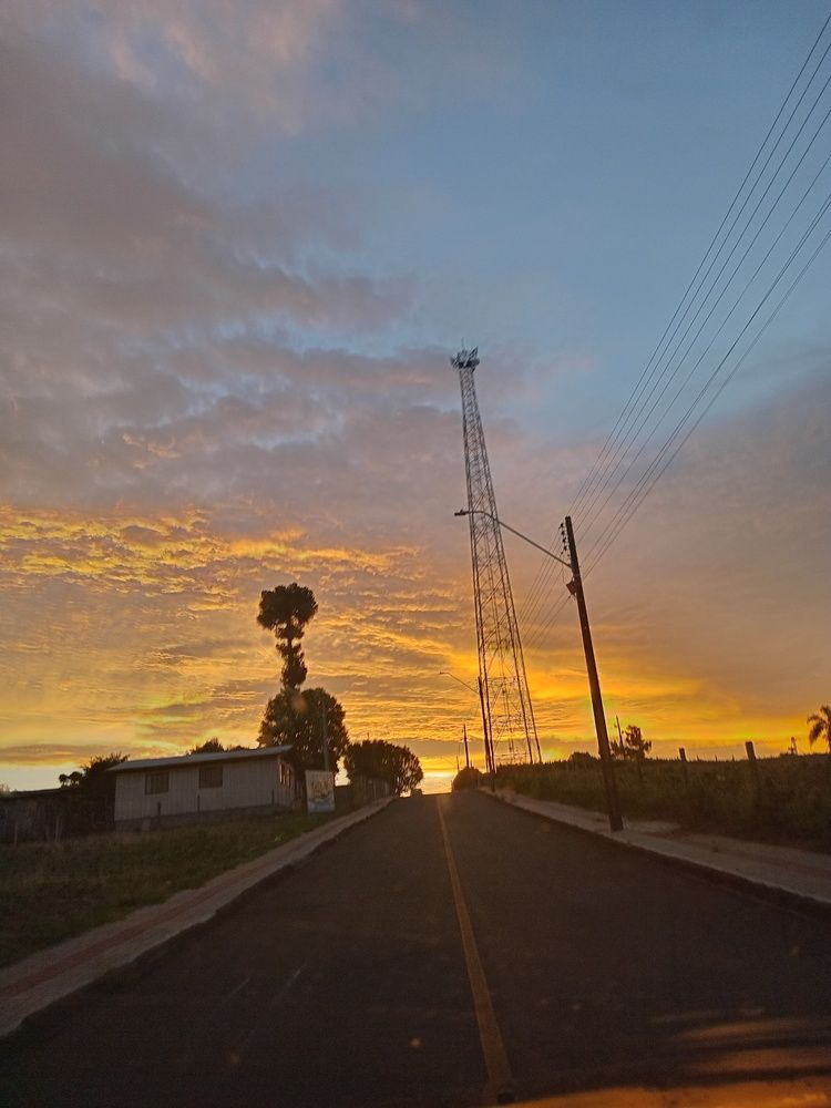 Photo #13004640