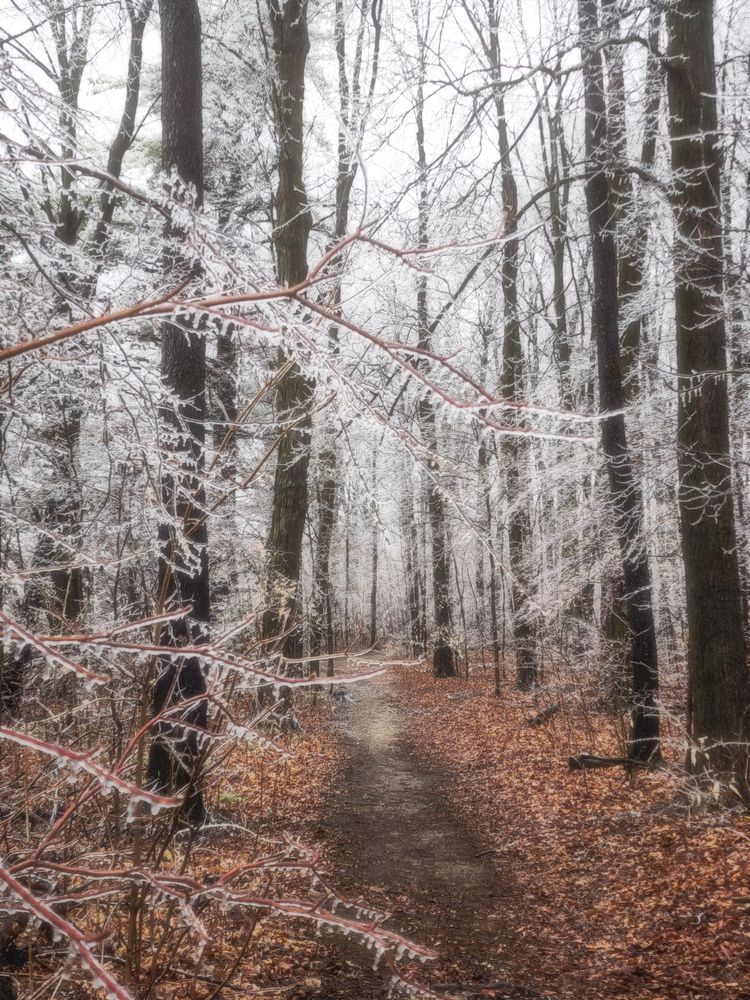 Фотография автора Anastasia Nikolenko