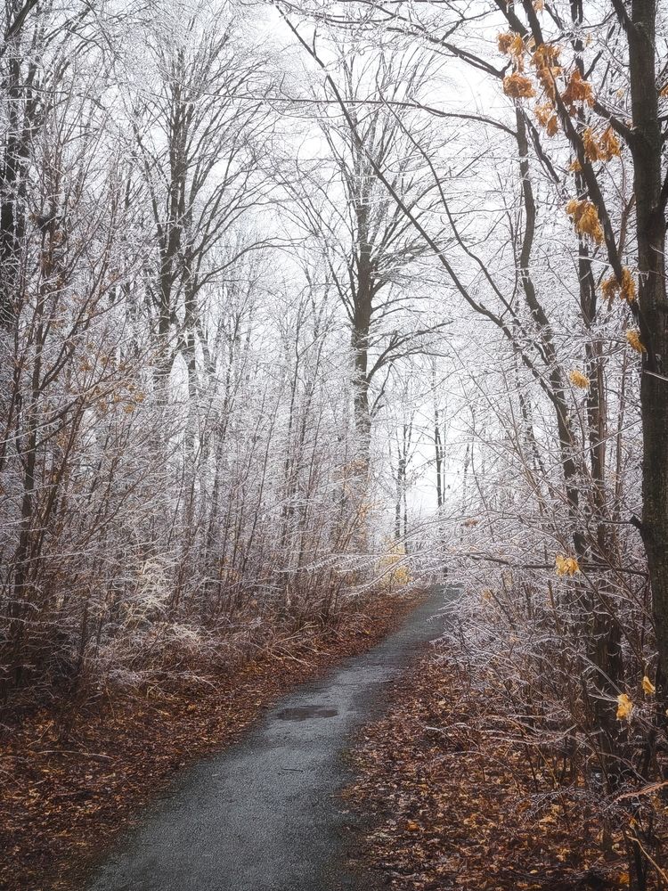 Фотография автора Anastasia Nikolenko