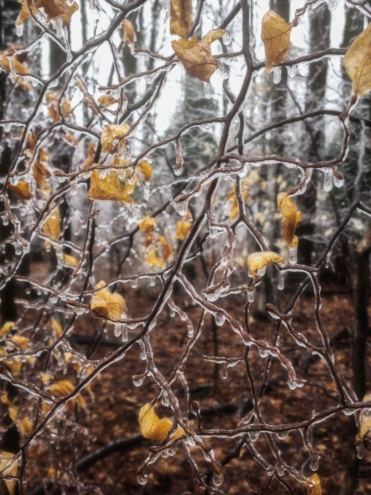 Фотография автора Anastasia Nikolenko