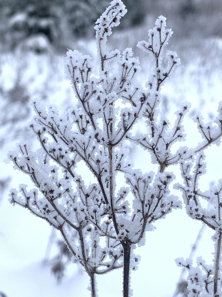 Photograph by Nataliia Pentjusa