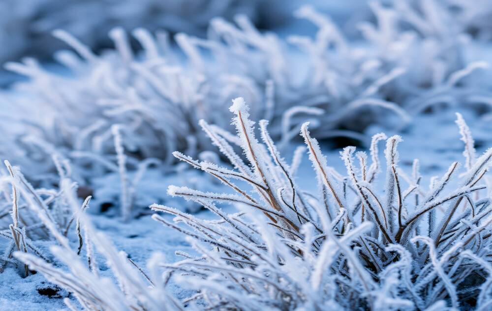 Photograph by Francisco Ferreira