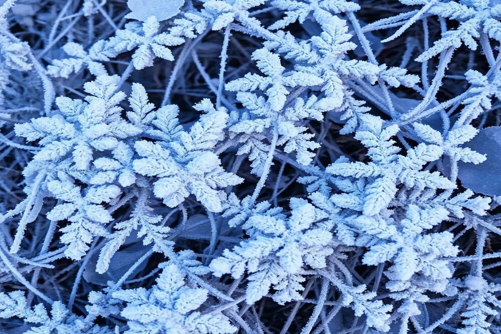 Photograph by Francisco Ferreira