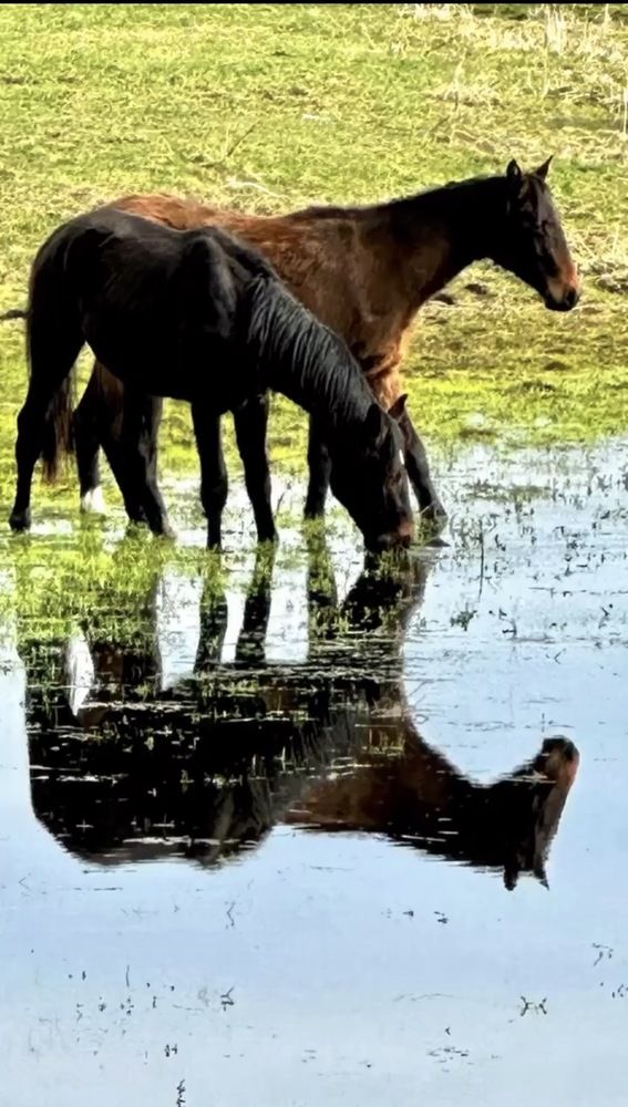 Photograph by Nataliia Pentjusa