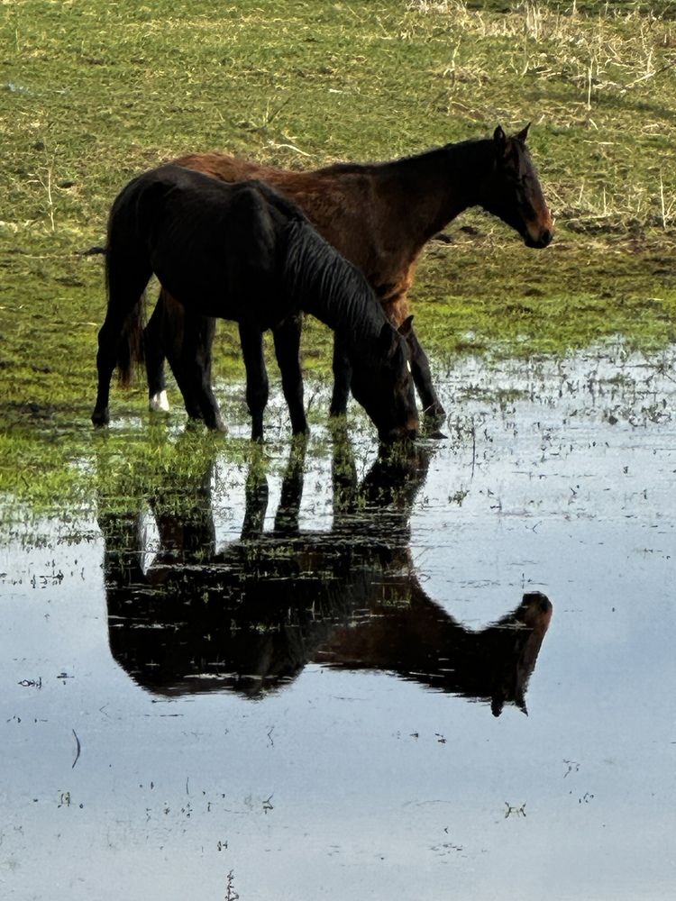 Photograph by Nataliia Pentjusa