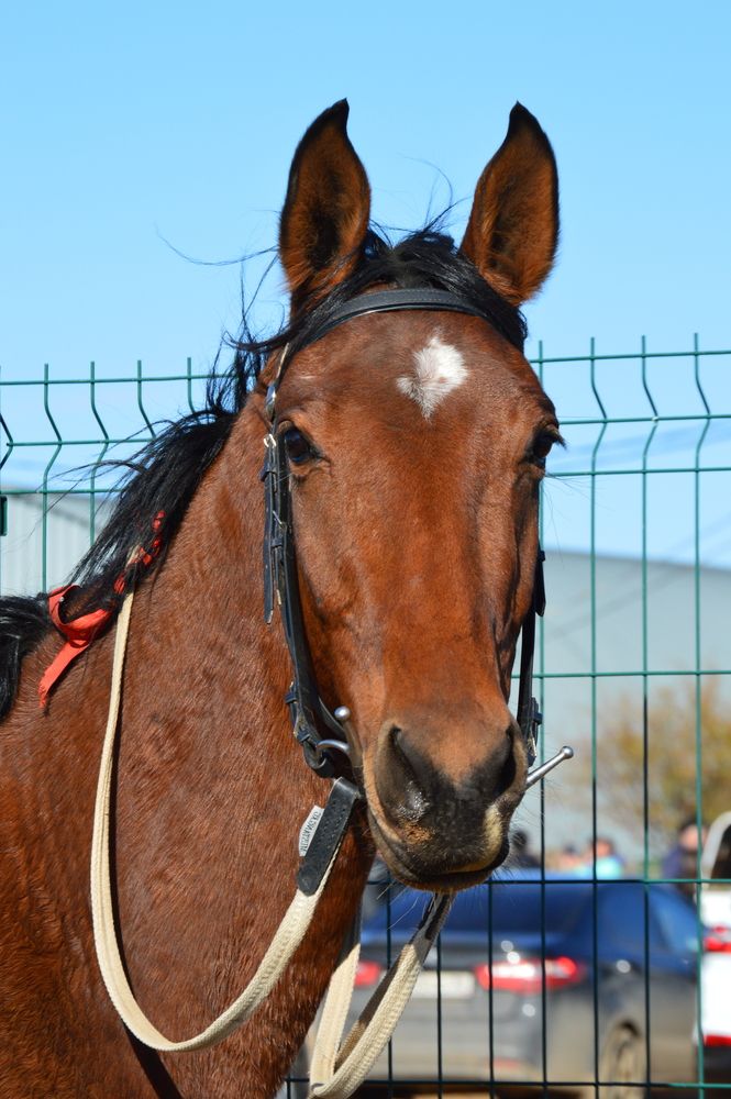 Photograph by Евгения Сапон