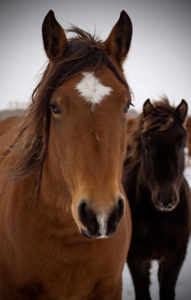 Photograph by Александра Токарева