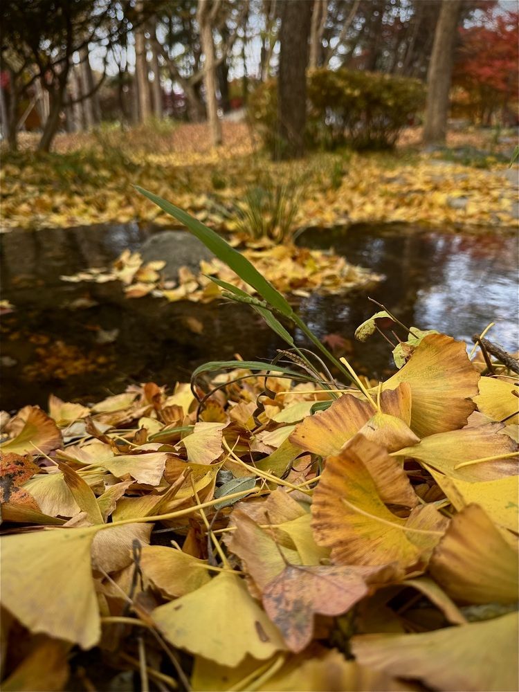 Photograph by Маргарита Сергуткина