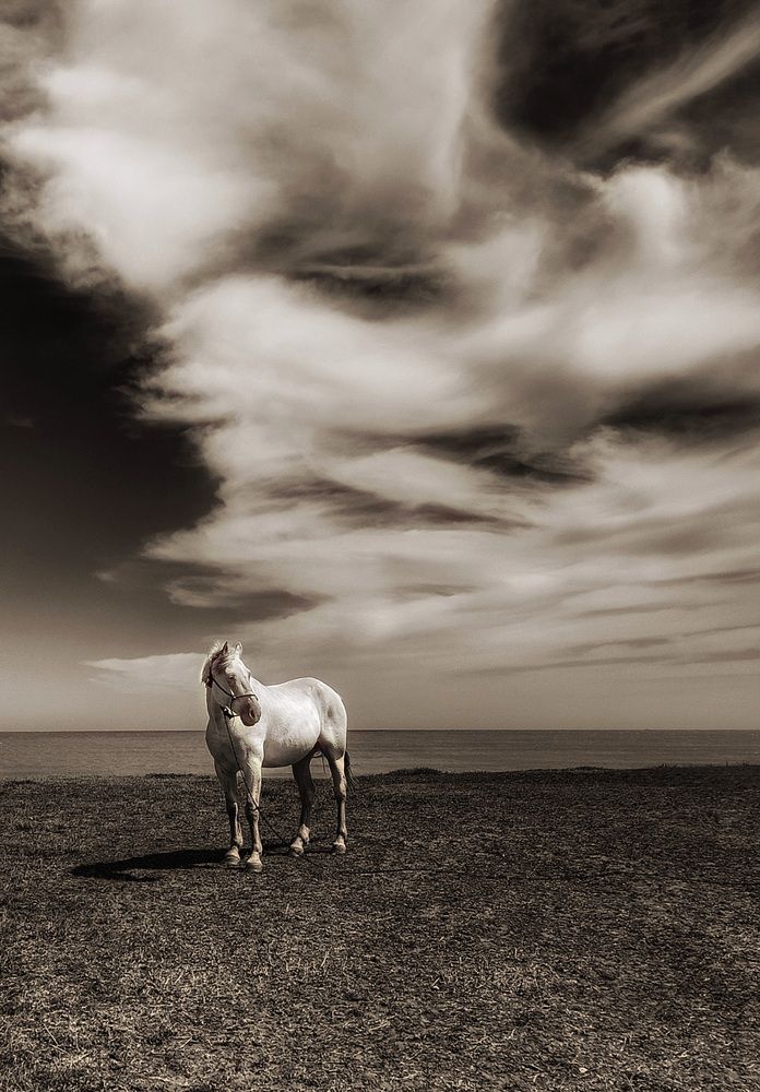 Фотография автора Roberto Hagemann