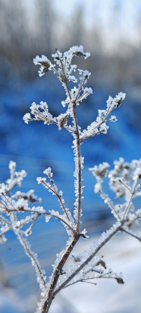 Photograph by ЕЛЕНА Рохо-Фернандес