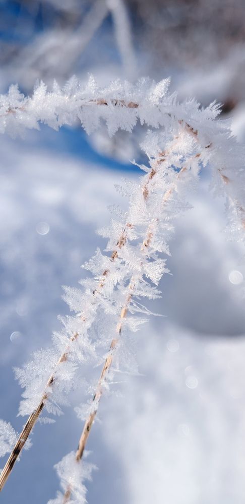 Photograph by ЕЛЕНА Рохо-Фернандес