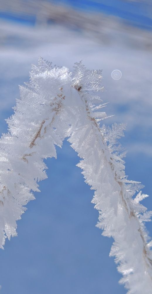 Photograph by ЕЛЕНА Рохо-Фернандес