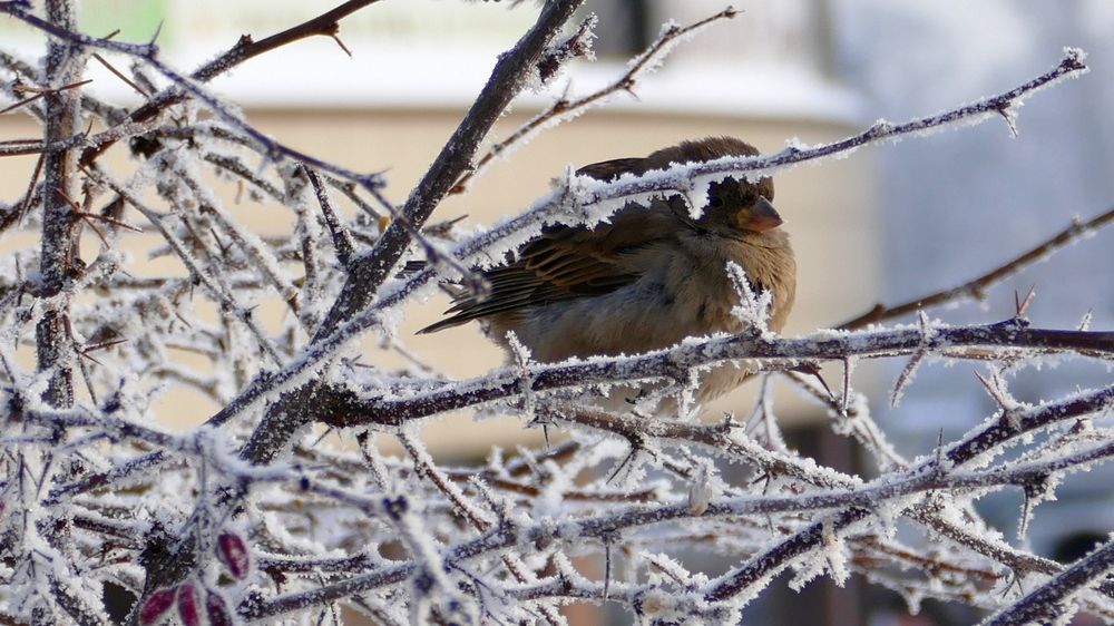 Photograph by николай зайцев