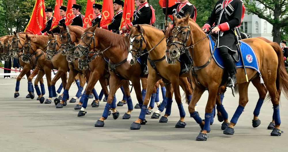 Photograph by Владимир Мигонькин