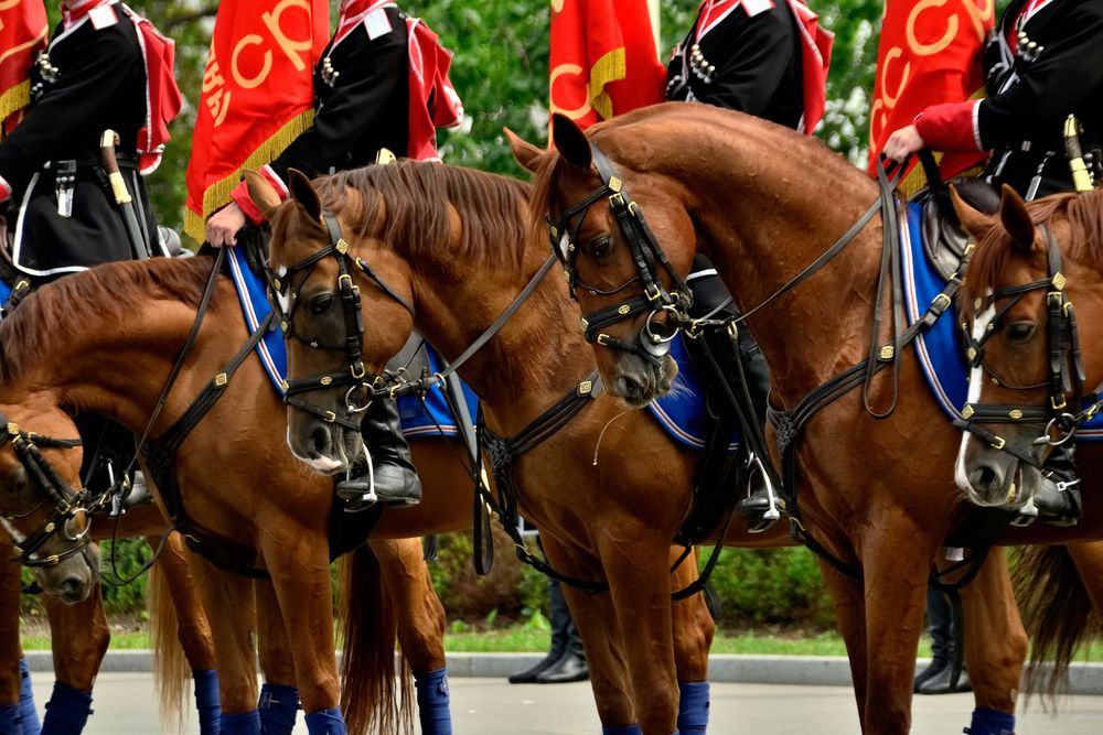 Photograph by Владимир Мигонькин