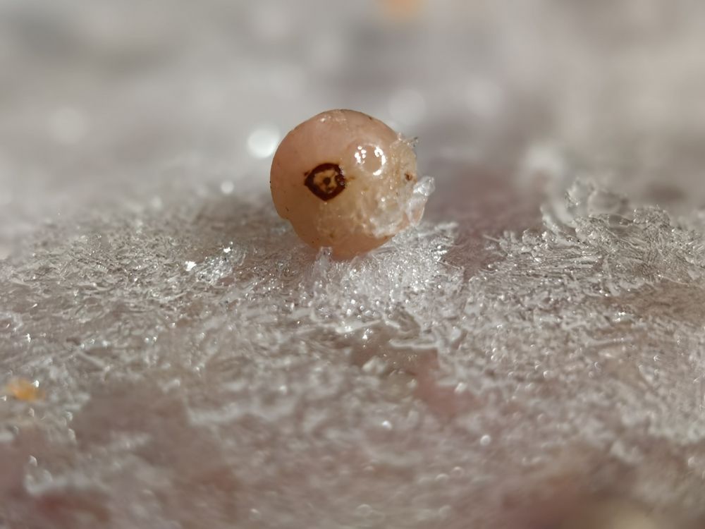 Photograph by Анастасия Кременчугская