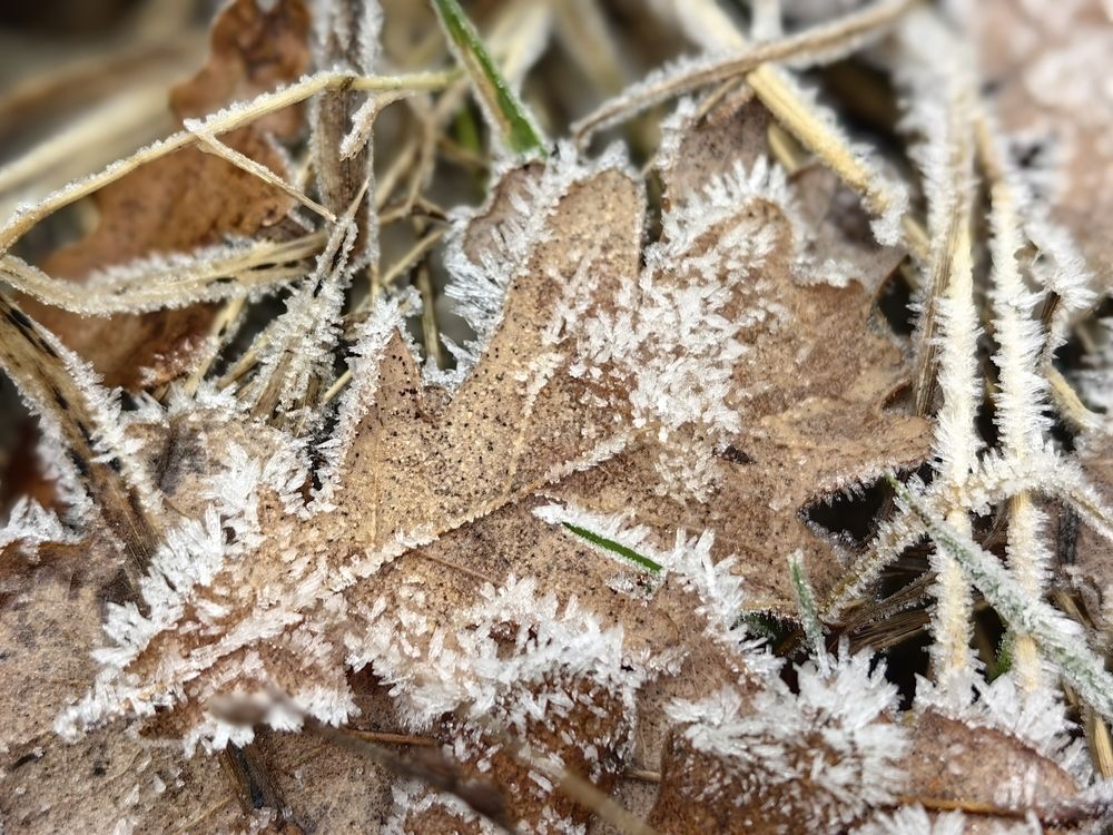 Photograph by Анастасия Кременчугская