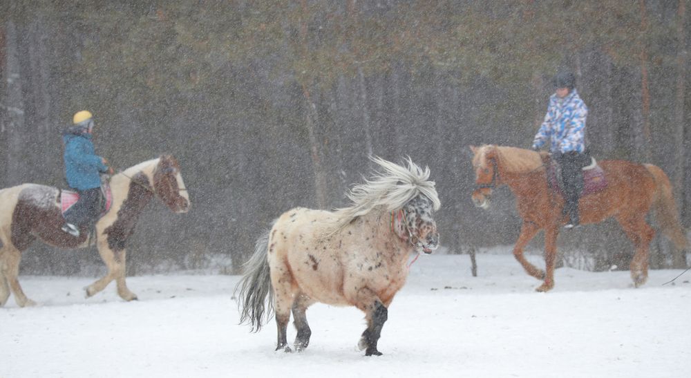 Photograph by Maksim Malkin