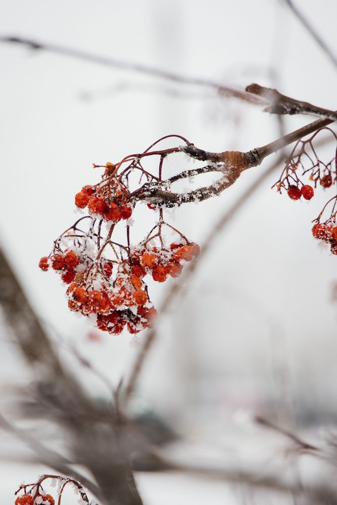 Photograph by Дьякова Анастасия Борисовна