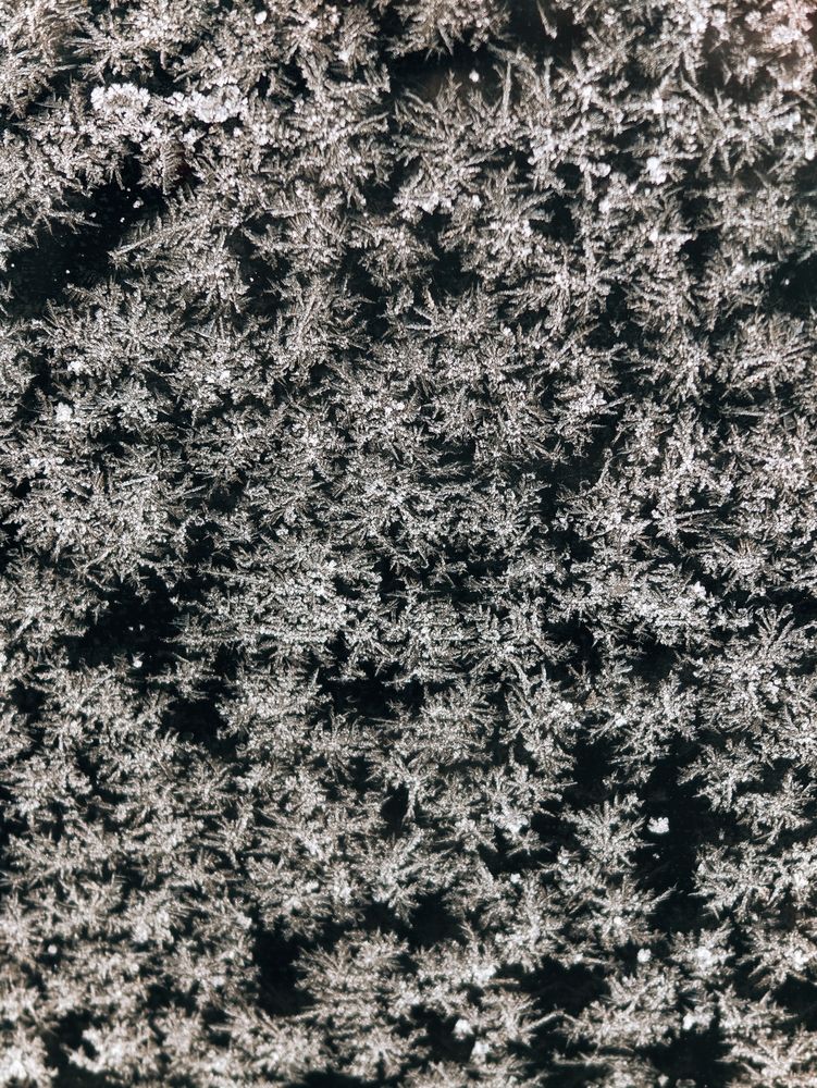 Photograph by Дарина Ворошилова