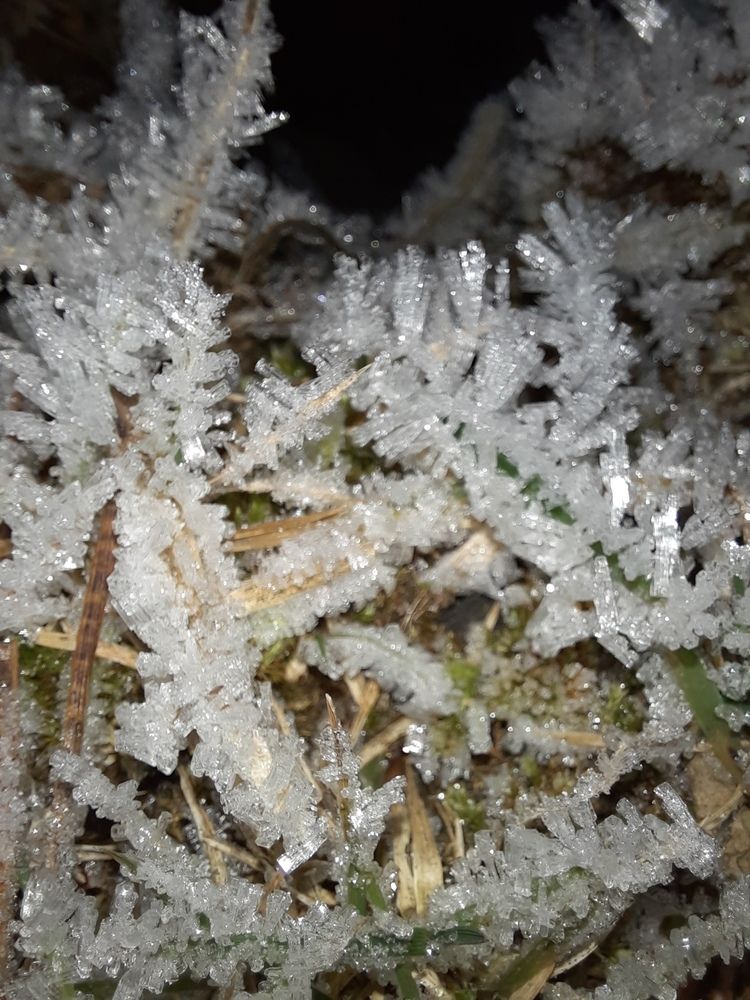 Photograph by Елена