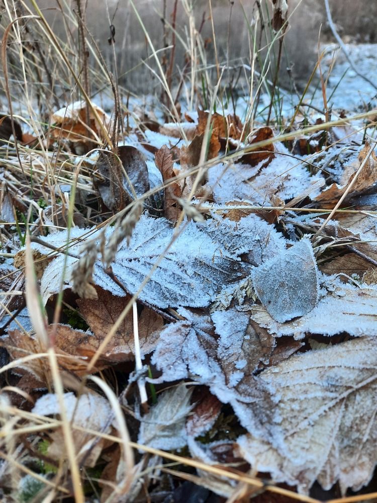 Photograph by Елена