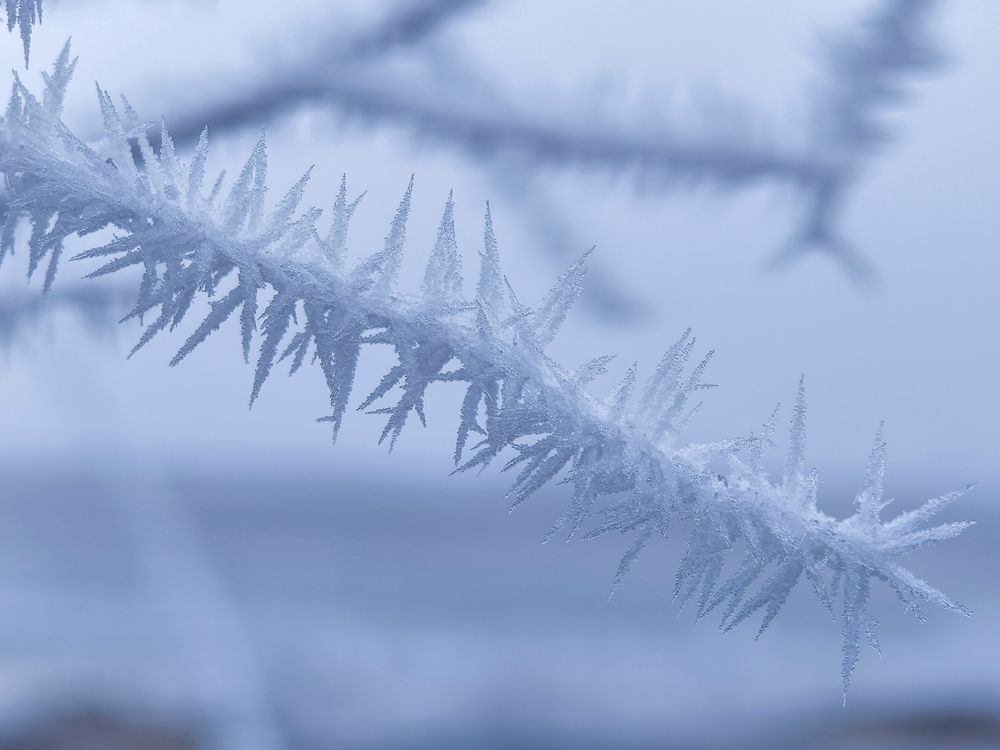 Фотография автора Владимир Ли