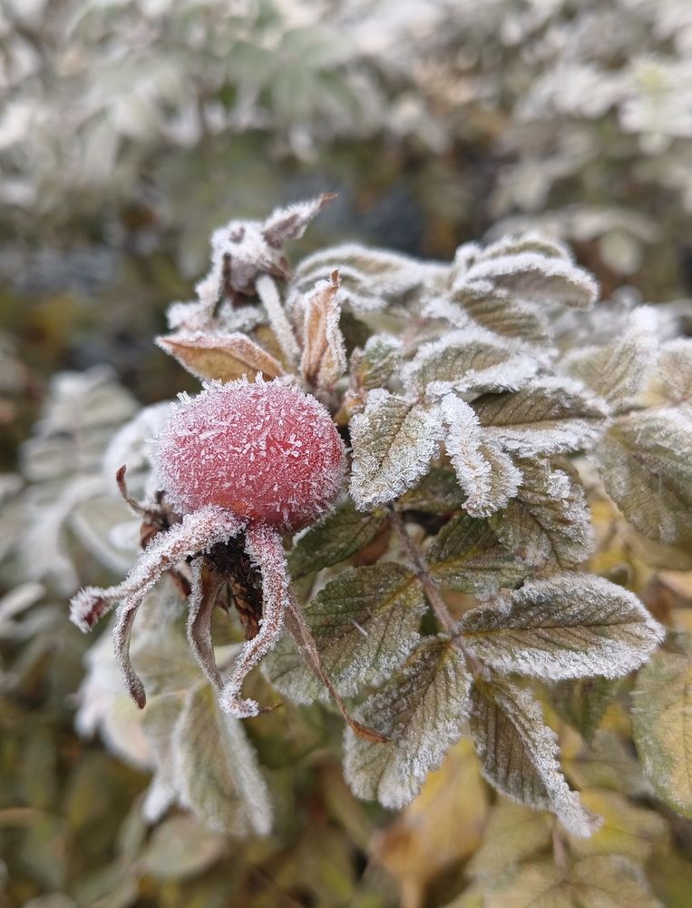 Фотография автора Юрий Еремин