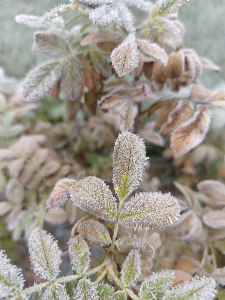Фотография автора Юрий Еремин