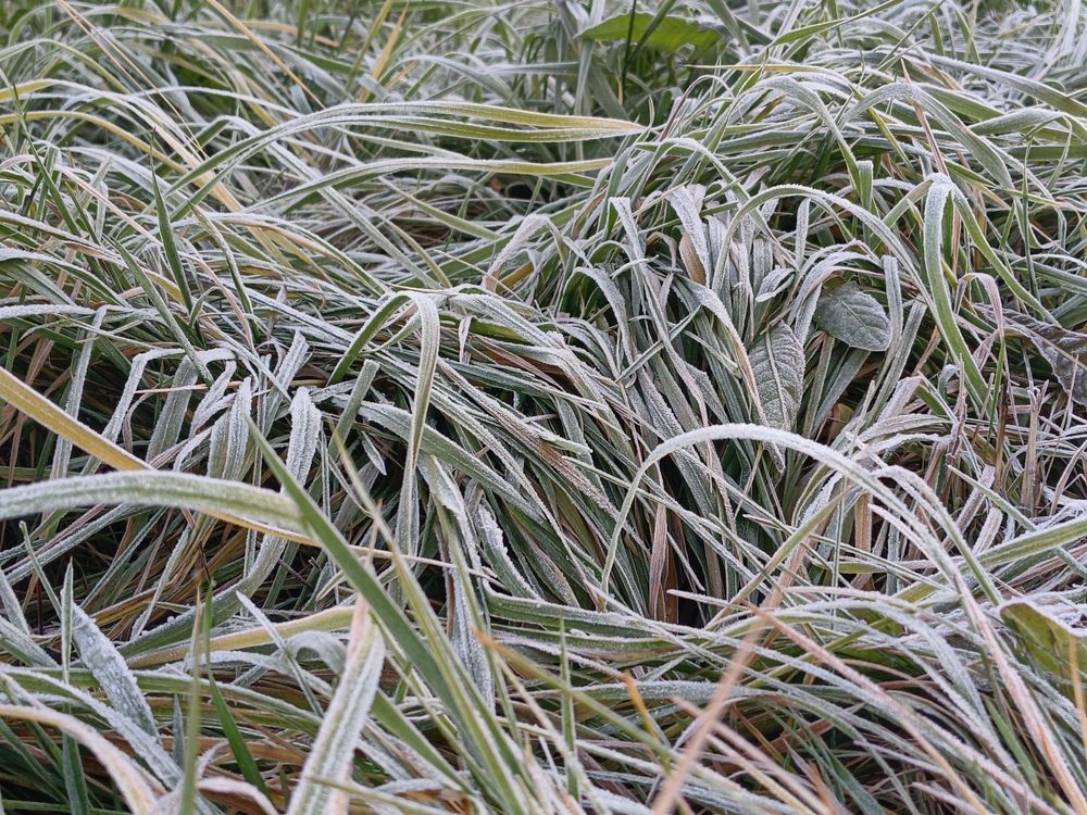 Фотография автора Юрий Еремин