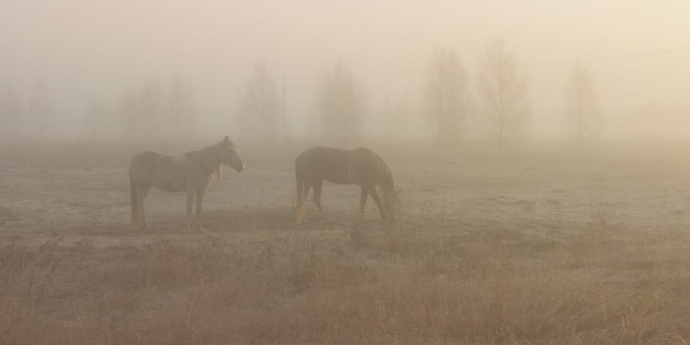 Photograph by Павел Кузьмин