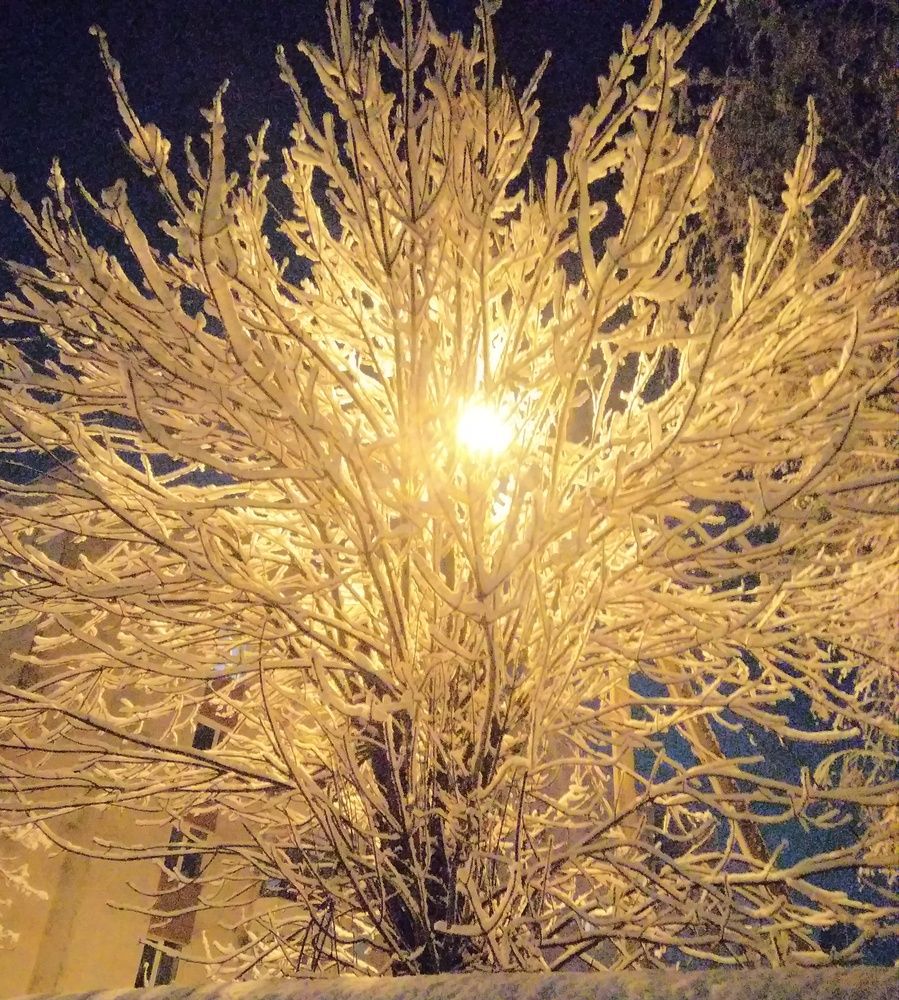 Photograph by Людмила Кириллова