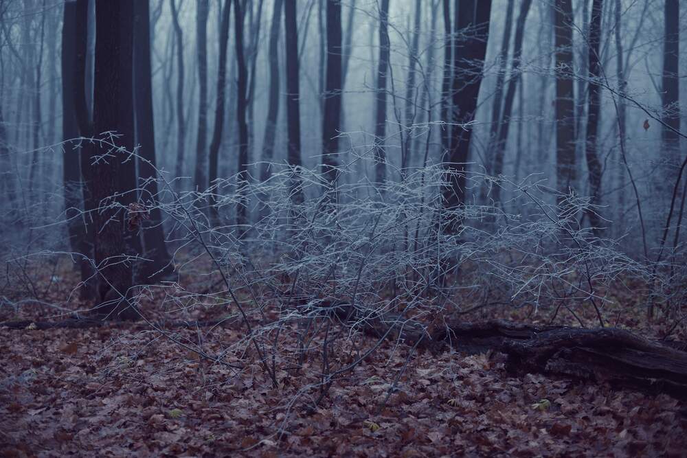 Photograph by Ясинский Константин