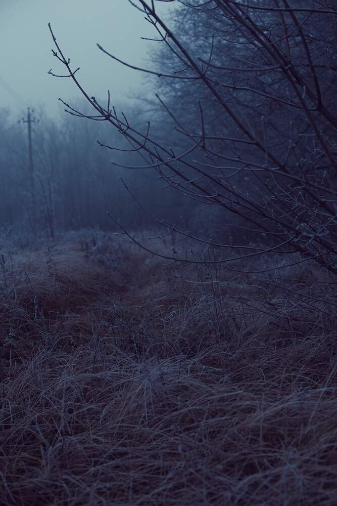 Photograph by Ясинский Константин