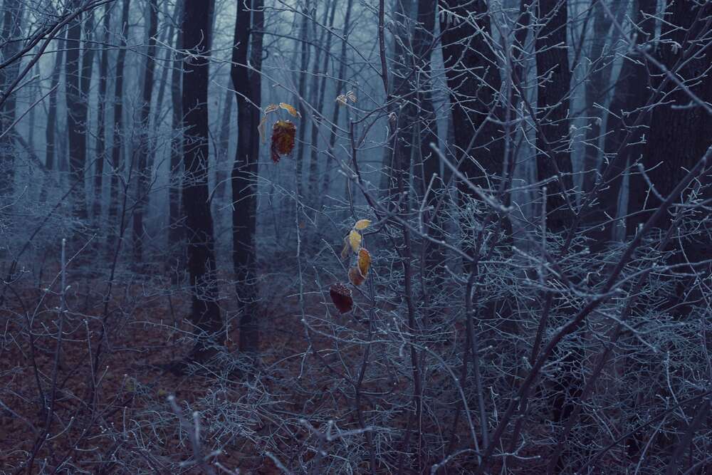 Photograph by Ясинский Константин