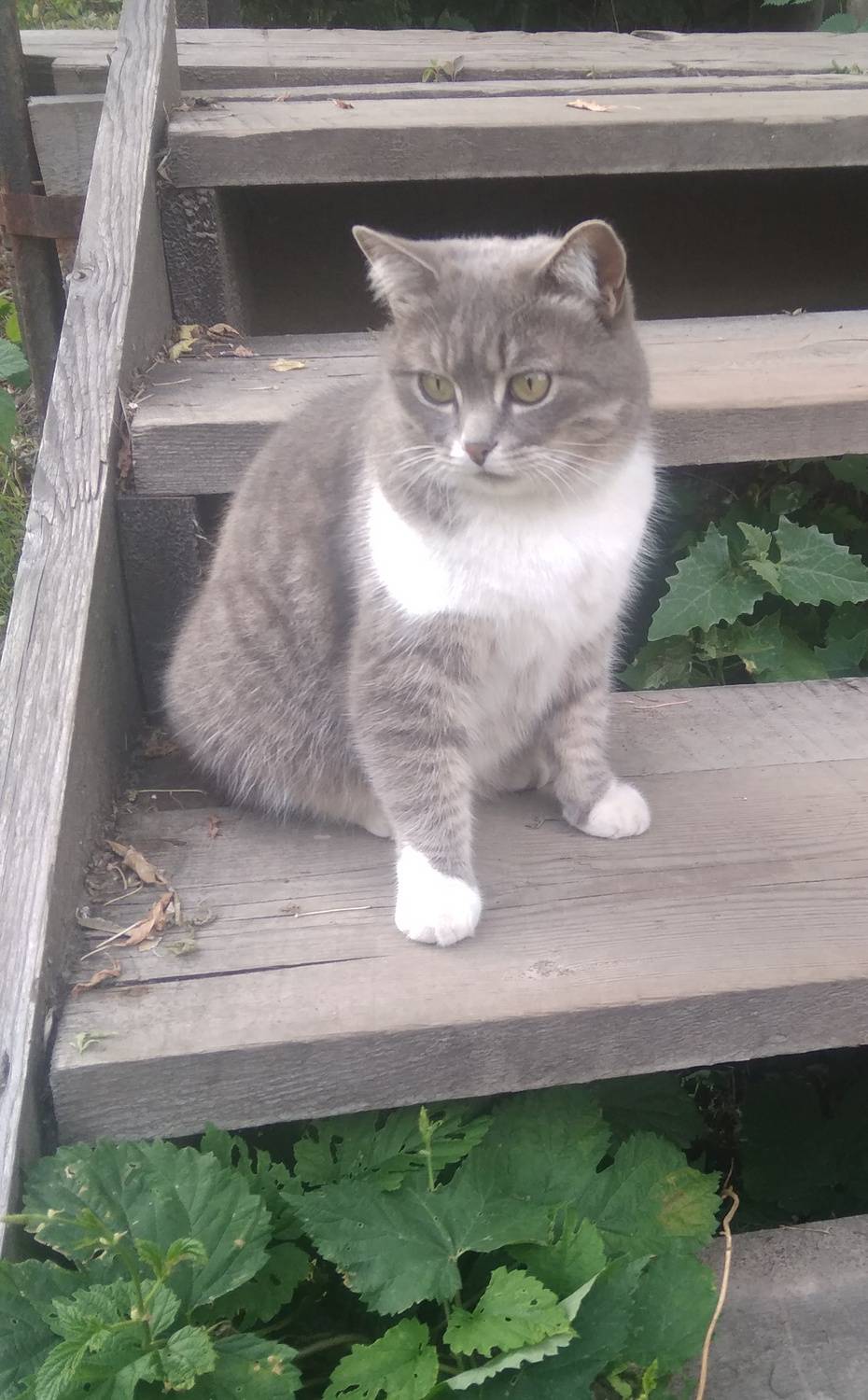 Photo #13004961
