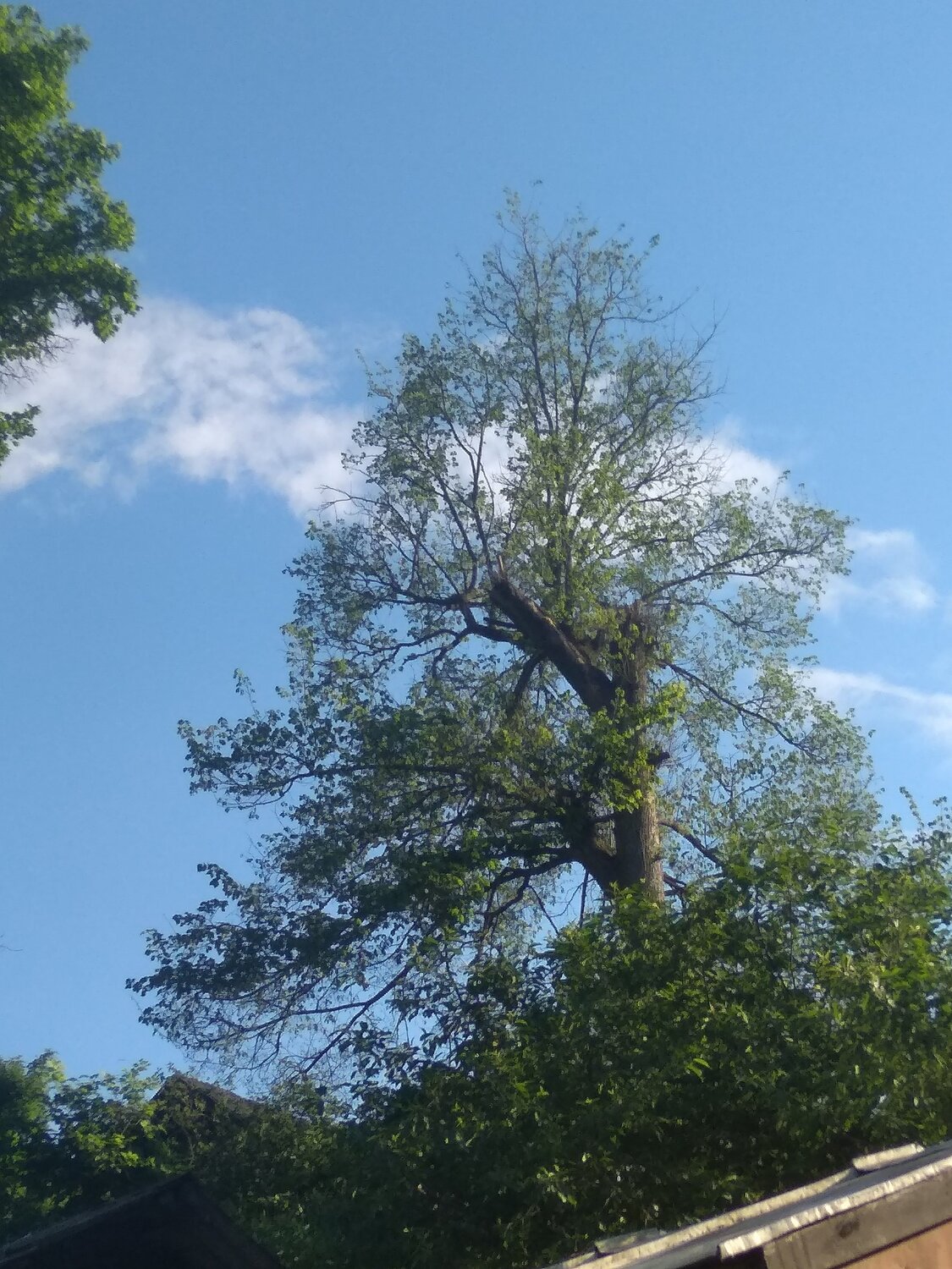 Photo #13004963