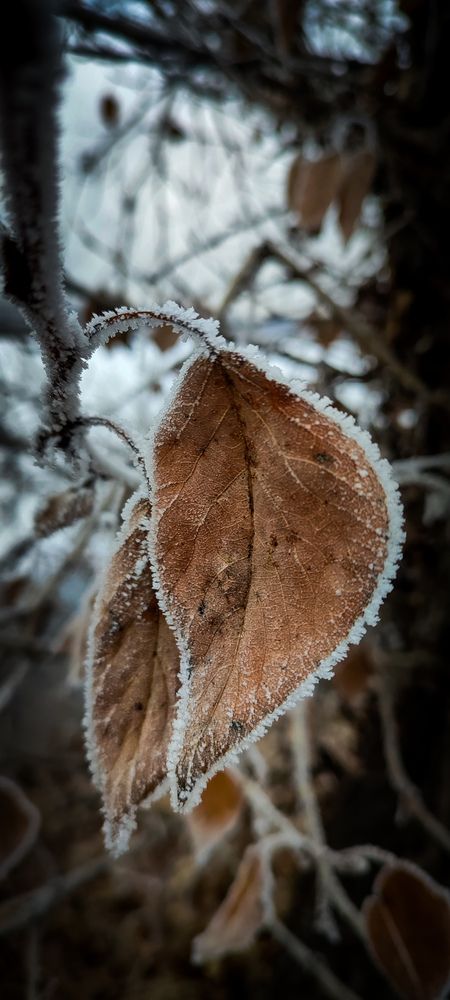Фотография автора Оркина Ксения