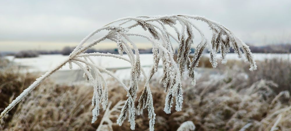 Фотография автора Оркина Ксения