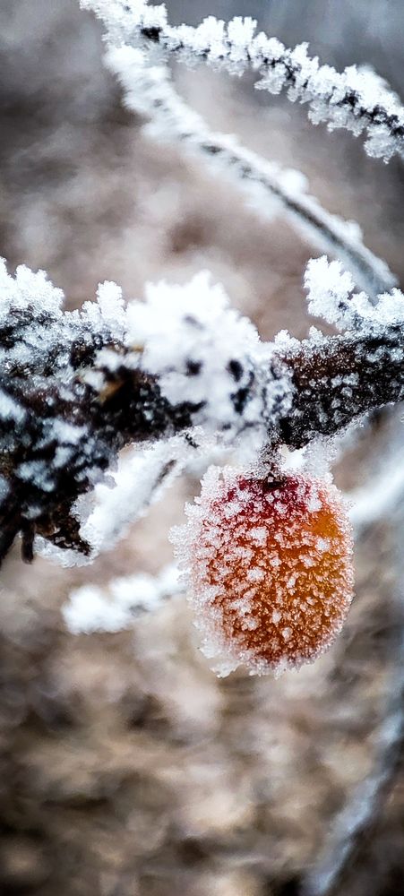 Фотография автора Оркина Ксения