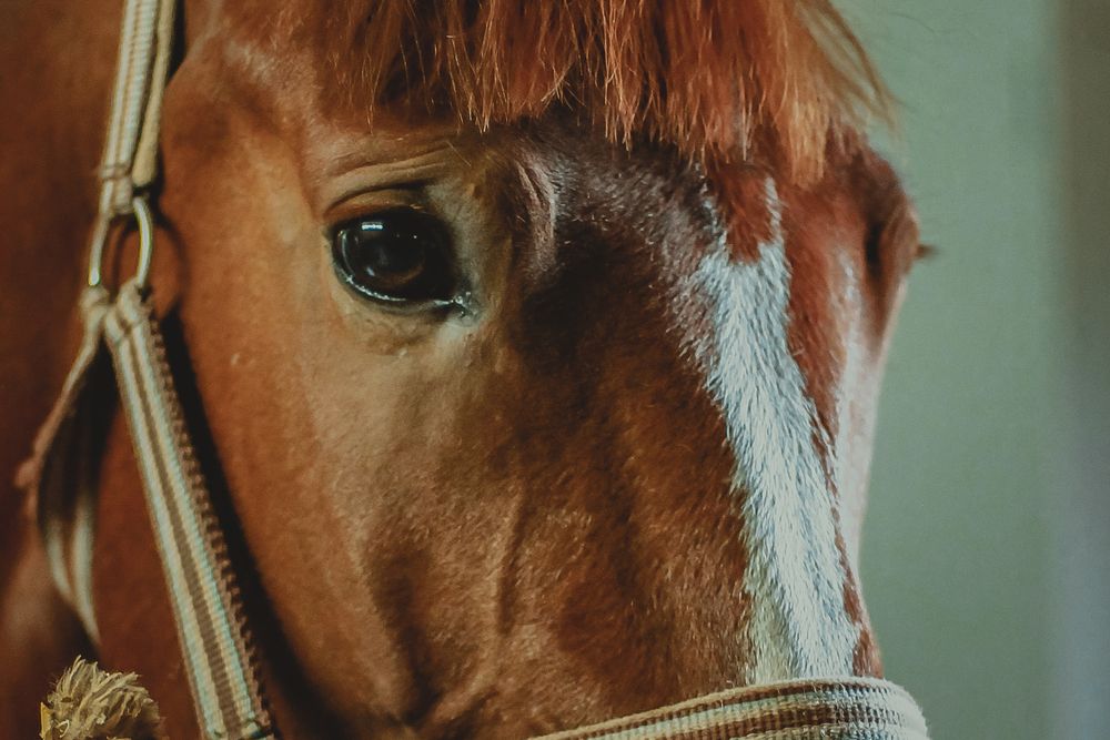 Photograph by Оркина Ксения