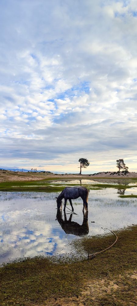 Photograph by Оркина Ксения